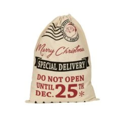Sacco Babbo Natale - 55 X 38,5 Cm