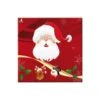 Tovaglioli Di Babbo Natale Da 16,5 X 16,5 Cm - 20 Unità