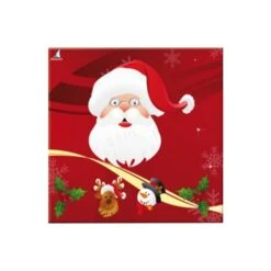 Tovaglioli Di Babbo Natale Da 16,5 X 16,5 Cm - 20 Unità