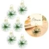 Palla Di Natale Con Foglie Di Pino Per Segnaposto 4 X 5,5 Cm - 6 Pz. -Vendite Costumi JMT8